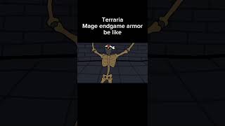 Terraria Mage endgame armor bonus be like  terraria games memes animation [upl. by Madonna]