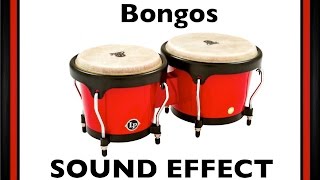 Bongos Sample  Sound Effect  Loops  HD [upl. by Carmine212]