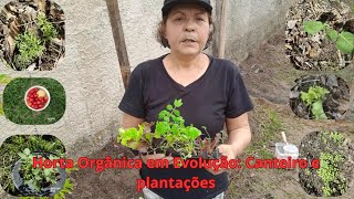 Horta Orgânica em Evolução Canteiro e Plantações [upl. by Boeke]