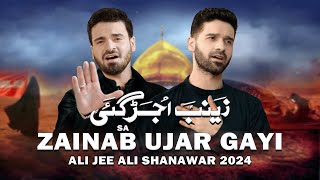 Zainab Ujar Gayi Saraiki  Ali Shanawar amp Ali Jee  2024  1446 [upl. by Ivonne]