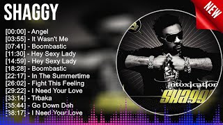 Shaggy Greatest Hits  Best Songs Of 80s 90s Old Music Hits Collection [upl. by Bakemeier773]