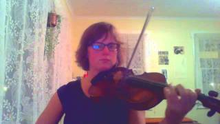 Hobo Jig  fiddle [upl. by Bobbe291]