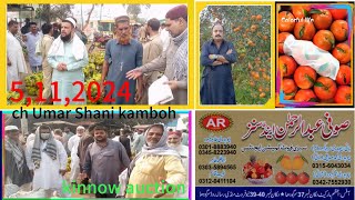 5112024 ch Umar Shani kamboh is engaged in kinnow auction  known as ch Tahir kombow amp sons [upl. by Burhans]