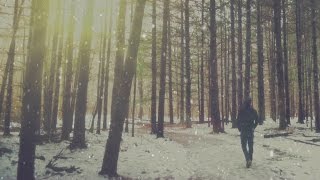 If a Hipster Walks in the Forest  HD Video Background Loop [upl. by Ahern]