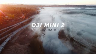 A Journey Through Nature Captured with the DJI Mini 2 Cinematic 4K [upl. by Hermon]