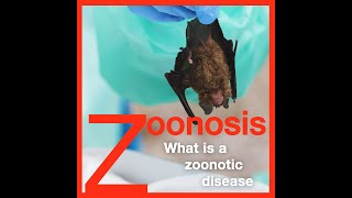 Zoonosis What is a Zoonotic Disease [upl. by Joly]