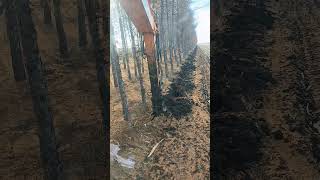 Forest trench digging process Good tools and machinery make work easy [upl. by Akimahc]