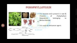 Isolation identification and analysis of curcumin and podophyllotoxin [upl. by Lynnet]