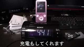 SONY Active speaker RDPNWC11 [upl. by Hellene]