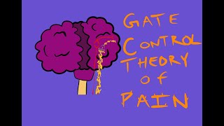 What is Pain  Melzack amp Walls 1965 Gate Control Theory of Pain [upl. by Kelby236]