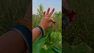 Hand dance acting❤youtubeshorts ytshorts shorts viralreels Shradhyapal9742 [upl. by Radnaxela]