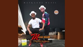 Uyiphuzelani imali feat RSD Rosuade [upl. by Namor]