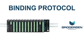 Brodersen Binding Protocol [upl. by Sheela]