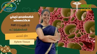 Anatomy of Flowering Plants  Part 3  Complex Tissue  Xylem Tissue  NEET Tamil [upl. by Ahsikcin]