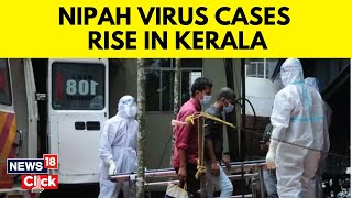 Kerala Nipah Virus Latest News  Central Team Of Experts In Kerala To Investigate Nipah Outbreak [upl. by Annaihr553]