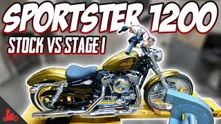 How Fast Is a Harley Sportster 1200 Stock vs Stage 1 [upl. by Ellatsirhc452]