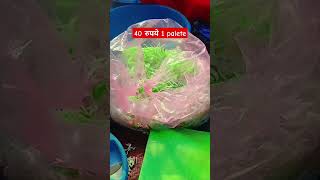 streetfood 40 रुपये pallet indianstreetfood manchurianlove manchurian food drymanchurian [upl. by Maury771]