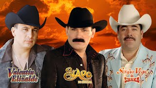 El Chapo De Sinaloa Y Sergio Vega amp Valentin Elizalde  Banda Romantica [upl. by Ivanah]