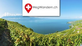 Wanderung durch die Weinterrassen von Lavaux [upl. by Camarata130]