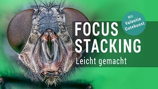 Focus Stacking leicht gemacht  der optimale Workflow [upl. by Silden361]