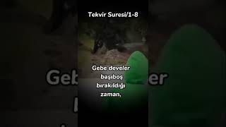 Tekvir Suresi 18 Ayetler [upl. by Ihtraa]