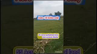 55 acres agricultural land sale  palnadu district [upl. by Goldarina180]