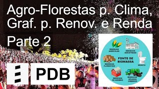 AGROFLORESTAS p Desafios e Clima Nanoestruturas de Carbono p Renováveis e Renda Parte 2 [upl. by Michigan314]