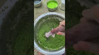 Sarso ka sagmitti ke chulhe pervillageharyanvisanskritifoodyoutubevideoscookingyoutubevideos [upl. by Anaiv]