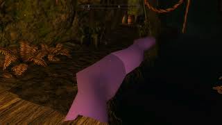 Skyrim SE XB1 Texture Glitch  I dont know what is causing this [upl. by Lucia]