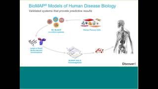 Enabling Development of Cancer Immunotherapy Drugs – From Discovery to Combination Strategies [upl. by Dloniger]