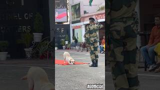 Saath अच्छा हो तो जिंदगी स्वर्ग 😇 बन जाती shorts viral bsf dog [upl. by Dewie87]