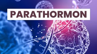Parathormon Nedir [upl. by Crespo]