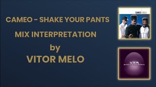 CAMEO  SHAKE YOUR PANTS MIX INTERPRETATION [upl. by Dacey53]