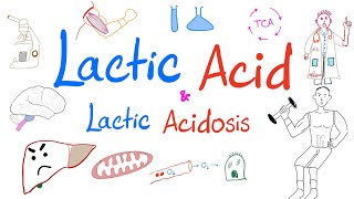 Lactic Acidosis  Lactic Acid  Lab 🧪 Why your muscles 💪 get sore 😱 [upl. by Aierbma]