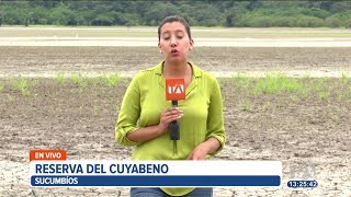 La laguna más grande de la reserva de cuyabeno está completamente seca [upl. by Anhaj]