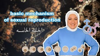 Episode 5 of Basic mechanism of sexual reproduction Folliculogenesis [upl. by Mateya]