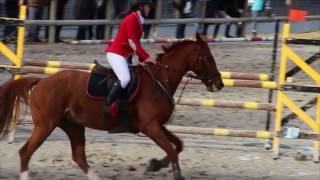 Concours CSO novembre 2016 KernilienGuingamp [upl. by Mable]