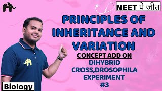 Principles of Inheritance amp Variation Class 12 Biology NEET Chap 4  Dihybrid Cross Drosophila 3 [upl. by Aicertap]