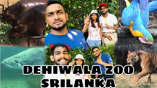 Dehiwala Zoo Sri Lanka දෙහිවල සත්වෝද්‍යානය 2024 youtube animals zoo dehiwalazoo foryou [upl. by Donaghue]