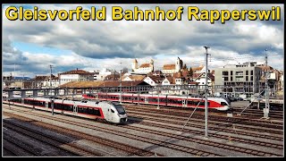 Zugsichtungen beim Gleisvorfeld des Bahnhof Rapperswil Kanton St Gallen Schweiz 2022 [upl. by Syramad]