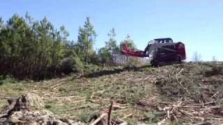 Takeuchi TL 150 Skid Steer with Fecon Mower [upl. by Gigi]