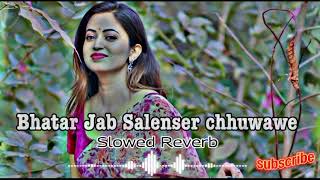 bhatar jab salensar chhua ve lofi  bhatar jab salensar chhua ve slowed reverb bhojpuri Lofi No 1 [upl. by Acireed]