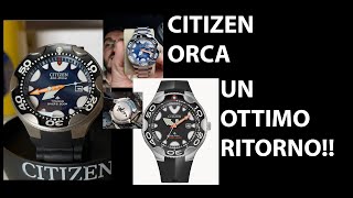 CITIZEN ORCA UN OTTIMO RITORNO [upl. by Atsocal]