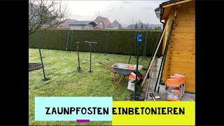 Zaunpfosten einbetonieren  Maschendrahtzaun  Garten Tips [upl. by Silrac]