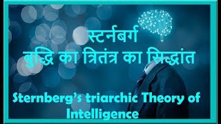 स्टर्नबर्ग का त्रितंत्र का सिद्धांत Sternberg’s triarchic Theory of Intelligence [upl. by Joane466]