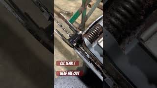 Chainsaw Has an Oil Leak chainsawrepair [upl. by Heer713]