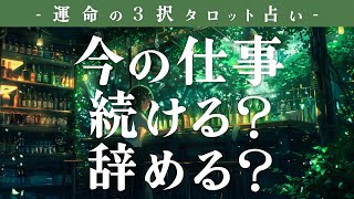 転職のタイミングなど！今の仕事を続ける？辞める？🍸 [upl. by Nylitsirk788]