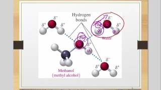 properties of alcohols [upl. by Kciwdahc]