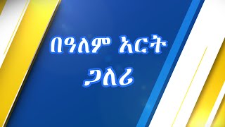 አለም አርት ጋለሪ [upl. by Webster]