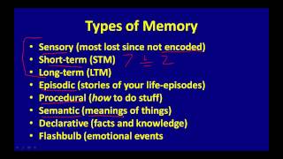 Types of Memory [upl. by Airan]